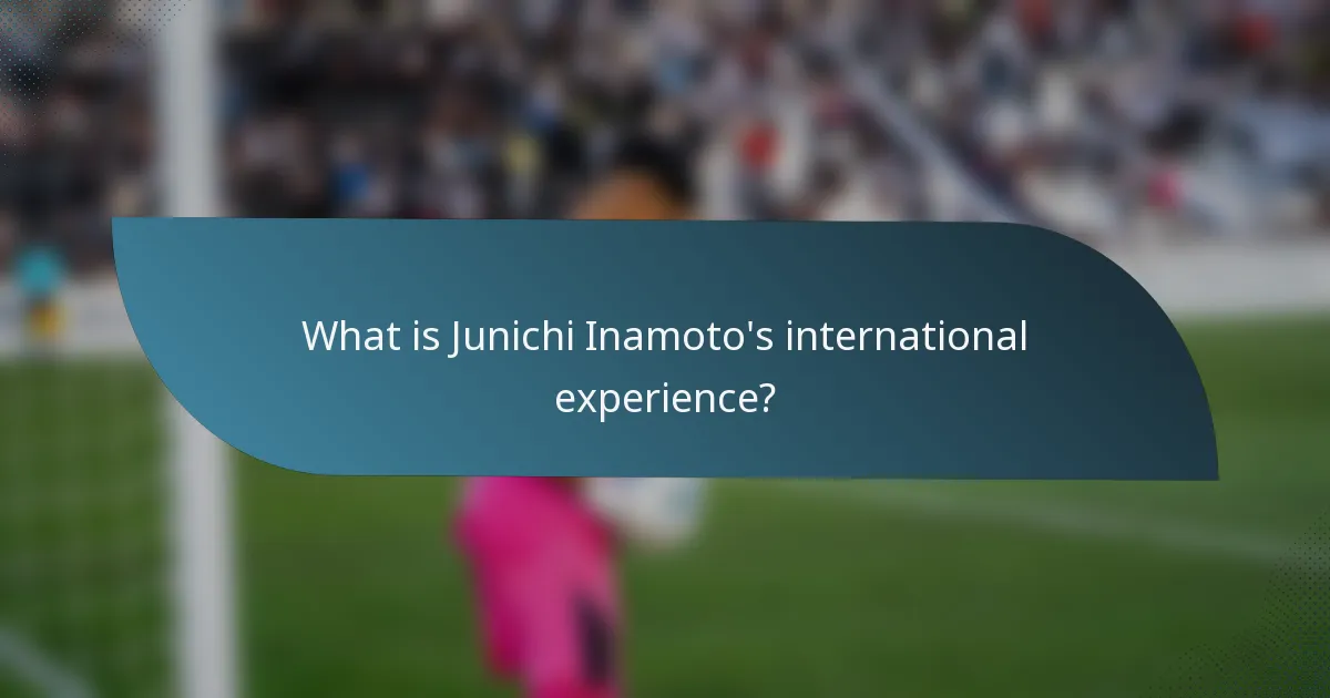 What is Junichi Inamoto's international experience?